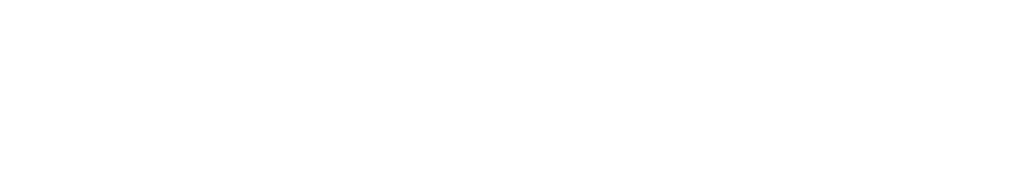 Brainwork Solutions Logo